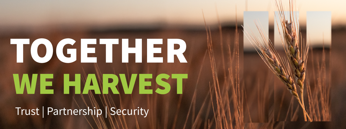 Together we harvest